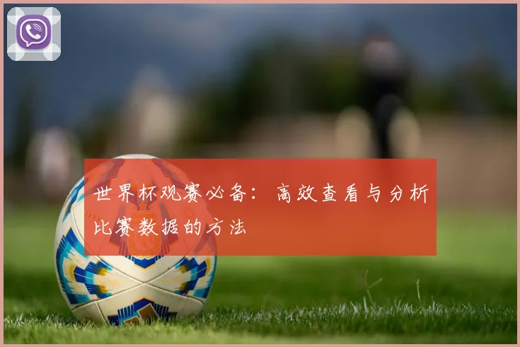 世界杯观赛必备：高效查看与分析比赛数据的方法
