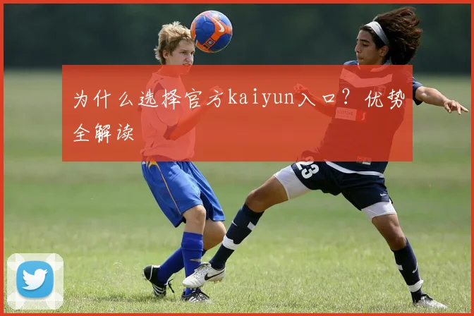 为什么选择官方kaiyun入口？优势全解读