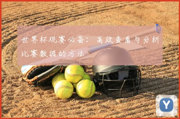 世界杯观赛必备：高效查看与分析比赛数据的方法