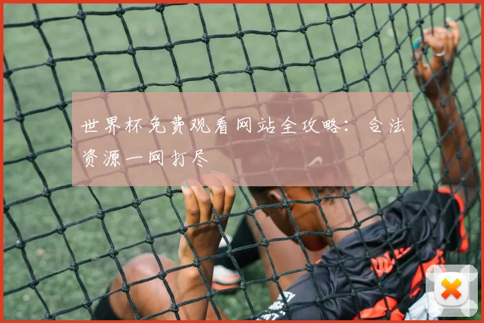 世界杯免费观看网站全攻略：合法资源一网打尽